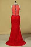 2024 Red Plus Size Prom Dresses Scoop Beaded Bodice Sweep Train P718ALTZ