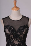 2024 Homecoming Dresses A Line Scoop Black Lace With Beads & PTFK9J8J