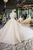 2024 Wedding Dresses Royal Train High Neck Short Sleeves Lace PN7X7BCL