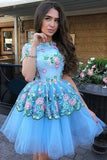 Homecoming Dresses Tulle Short Sleeves A Line Charming PG4AZXY9