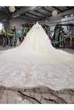 Ball Gown Wedding Dresses Strapless Top Quality Appliques PS1S6336