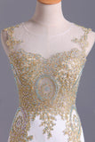 2024 Hot Prom Dresses Scoop Mermaid Sweep/Brush Spandex With Applique PSB39FE7