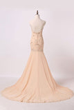 2024 Sweetheart Prom Dresses Mermaid/Trumpet PMDP33P8