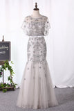 2024 New Arrival Scoop With Beading And Sash Mermaid Tulle P6E6RNP1