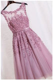 Elegant Appliques Tulle Short Homecoming Dresses