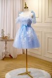 Sky Blue Spaghetti Straps Appliques Tulle Short Homecoming Dresses