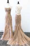 Pretty Spaghetti Straps Long Mermaid Backless Lace Elegant Prom Dresses