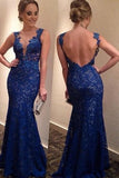 Mermaid Royal Blue Lace Charming Prom Dresses Long Evening Dresses Prom Dresses On Sale