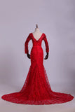 2024 V-Neck Evening Dresses Mermaid With Applique Lace And Tulle PSBPLZZ8