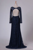 2024 Open Back Bateau Long Sleeves Evening Dresses Mermaid PG4S4T81