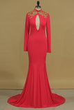 2024 High Neck Prom Dresses Mermaid/Trumpet Court Train PKKCQSTL