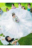 Princess Long Sleeves Bateau Ball Gown Tulle Wedding Dresses With PB3R48S6