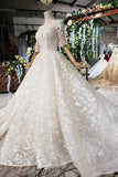 2024 Ball Gown Wedding Dresses Scoop Half Sleeves Appliques 2 PGJ633GZ