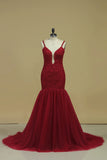 2024 Spaghetti Straps With Applique Prom Dresses Tulle Sweep PJNT22HH