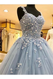 Ball Gown Straps Long Prom Dress Appliques Quinceanera STIPKS9FELB