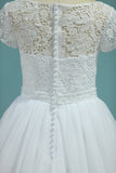 2024 Bateau Wedding Dresses A-Line Tulle Cap Sleeves Zipper Back PB6AFE11