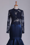 2024 Long Sleeves Scoop Elastic Satin With Applique Evening Dresses P6DNCD8P