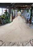 Ball Gown Wedding Dresses Scoop Long Sleeves Top Quality Appliques PM82ZNFH