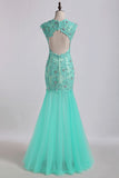 2024 Prom Dresses V Neck Mermaid/Trumpet Champagne With Applique&Beads Floor PPHXZ53Q