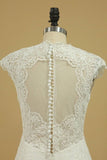 2024 Wedding Dresses V Neck Cap Sleeve With Applique PGMFL4AK