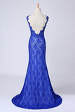 2024 Evening Dresses Bateau Mermaid With Deep V Shape Back Lace&Tulle Dark Royal PZ7783AA