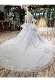 Ball Gown Wedding Dresses Scoop Long Sleevs Top Quality Appliques PZJAGE4X