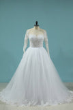 2024 Wedding Dresses Scoop Long Sleeves A Line Tulle PLXLME5B