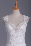 2024 Wedding Dresses Straps Tulle With Applique Open Back Chapel P1Q9BZTH