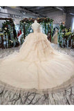 Ball Gown Wedding Dresses Strapless Top Quality Appliques PB8G3TA2