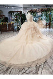 Ball Gown Wedding Dresses Strapless Top Quality Appliques PB8G3TA2