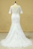 2024 Mermaid Wedding Dresses V-Neck 3/4 Sleeves Court Train Tulle V-Back With Covered PG4GMBTB