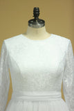 2024 Plus Size Long Sleeves Wedding Dresses Scoop A Line Tulle & Lace Sweep PYSHH12B