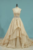 2024 V Neck Wedding Dresses A Line Organza With Applique PGJ2CG1N