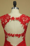 2024 Red Straps Open Back Sheath Prom Dresses Spandex With Applique PHTTDMDS