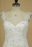 2024 Mermaid Wedding Dresses Straps Tulle Court Train PND52968