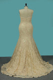 2024 Mermaid/Trumpet Lace Long Sleeves Court Train PQMTDP5B