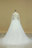 2024 V Neck Long Sleeves Wedding Dresses With Applique Organza PFS8HKTB