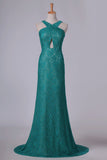 2024 Mermaid/Trumpet Prom Dresses Lace V Neck Sweep PX8NXLRZ