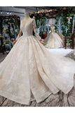 Ball Gown Wedding Dresses Scoop Long Sleeves Top Quality Appliques PMCL1367