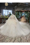 Ball Gown Wedding Dresses Strapless Top Quality Appliques PS1S6336