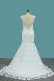 2024 Wedding Dresses Straps Mermaid Tulle With Applique P5GRET7N