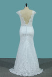 2024 Lace Wedding Dresses Scoop With Beaded Waistline Covered Button PGQENLBN