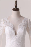 2024 A Line Scoop Long Sleeves Wedding Dresses Tulle With PEKX1D2G