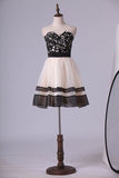 2024 New Arrival Dresses Sweetheart A Line/Princess Mini Bicolor Organza&Lace PMETZ37A