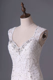 2024 V Neck Trumpet Wedding Dresses With Applique PL27FSLG