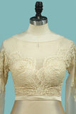 2024 Mermaid Wedding Dresses Scoop Long Sleeves P56LBFPK