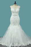 2024 Mermaid/Trumpet V Neck Wedding Dresses Court Train Tulle With Applique Lace PQ8CNMYN