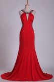 2024 Prom Dresses Sheath Scoop Spandex With Beading Open Back PZ3JZ6SA