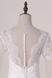 2024 A Line Scoop Long Sleeves Wedding Dresses Tulle With PEKX1D2G