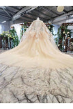 Ball Gown Wedding Dresses One Meter Train Short Sleeves Top Quality Appliques PLHTZN52